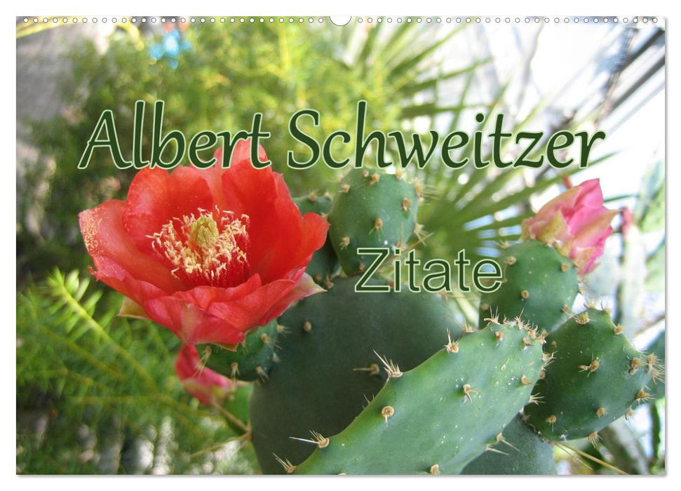 Albert Schweitzer Zitate (CALVENDO Wandkalender 2026)