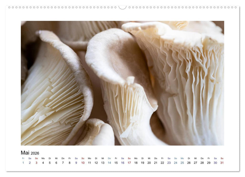 Wochenmarkt - Genussvoll Einkaufen (CALVENDO Premium Wandkalender 2026)