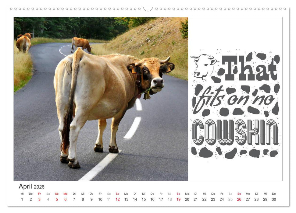 Tierisch Denglisch (CALVENDO Premium Wandkalender 2026)