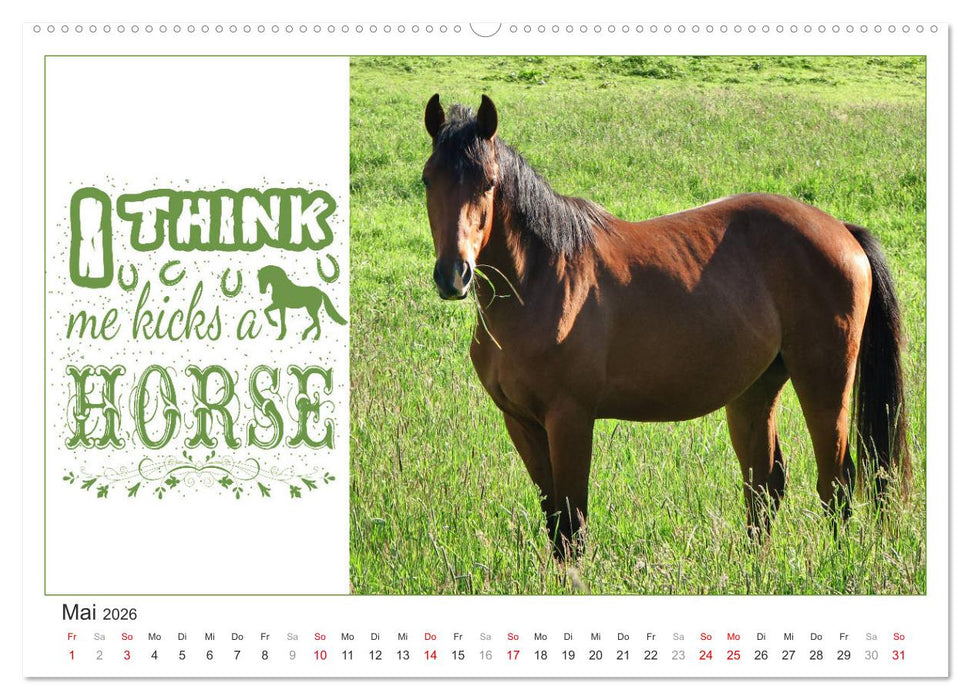 Tierisch Denglisch (CALVENDO Premium Wandkalender 2026)