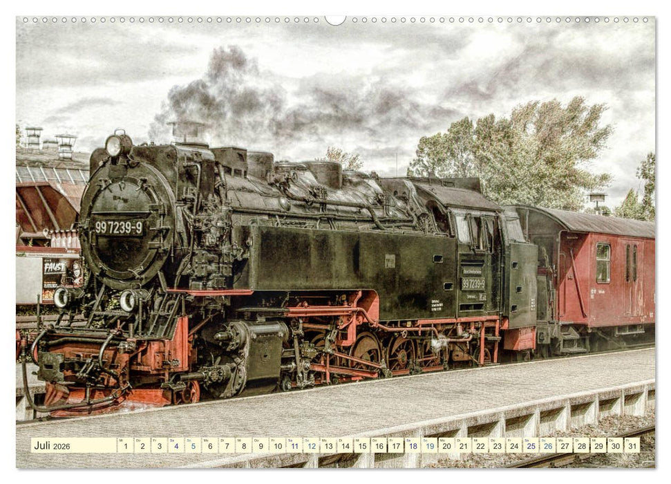 Dampfloks - eindrucksvolle Lokomotiven (CALVENDO Premium Wandkalender 2026)