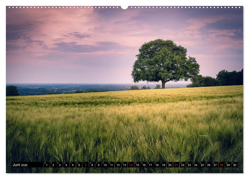 Das Münsterland - Meine Impressionen (CALVENDO Premium Wandkalender 2026)