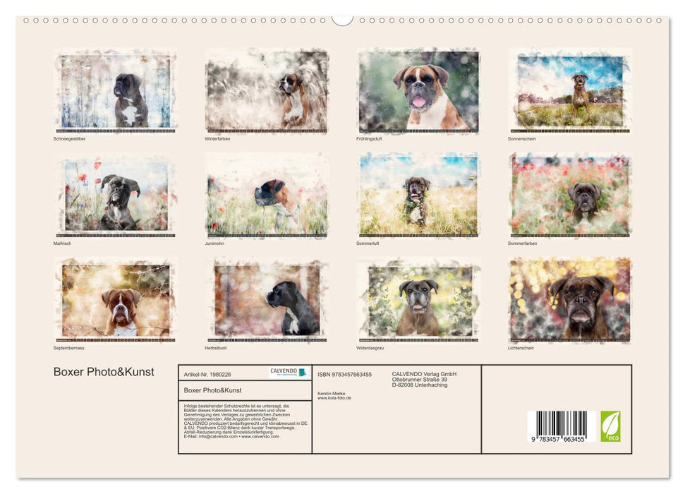 Boxer Photo&Kunst (CALVENDO Premium Wandkalender 2026)