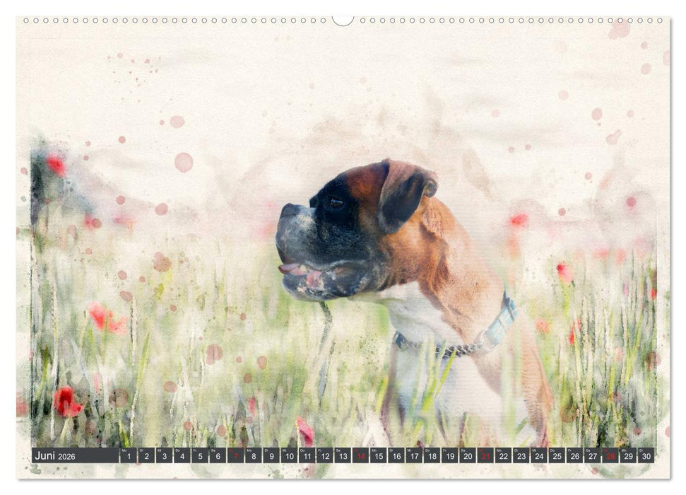 Boxer Photo&Kunst (CALVENDO Premium Wandkalender 2026)