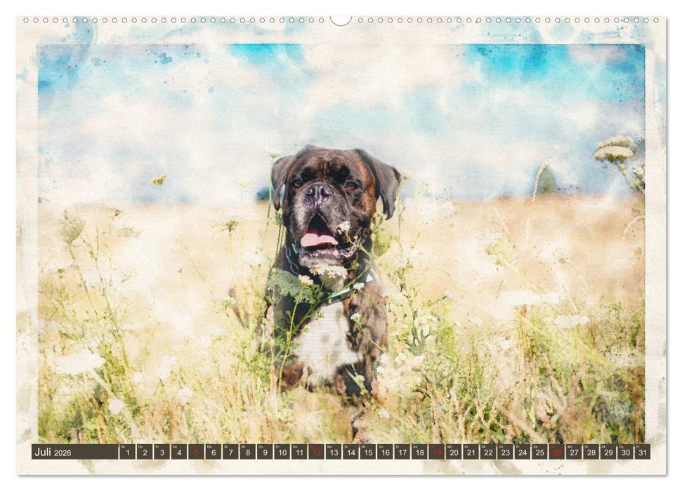 Boxer Photo&Kunst (CALVENDO Premium Wandkalender 2026)