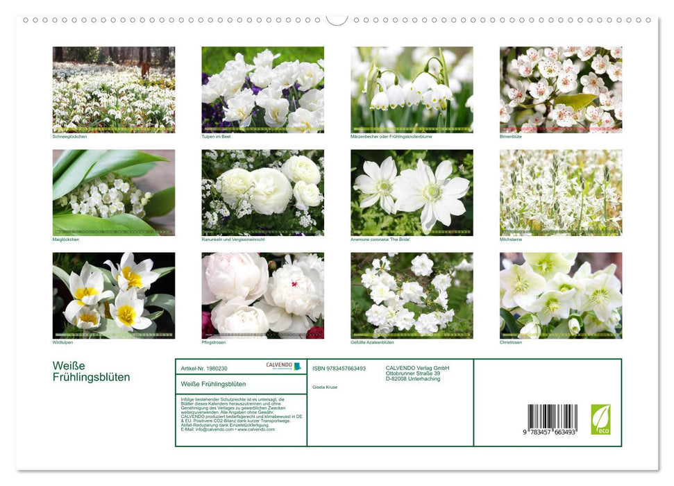 Weiße Frühlingsblüten (CALVENDO Premium Wandkalender 2026)