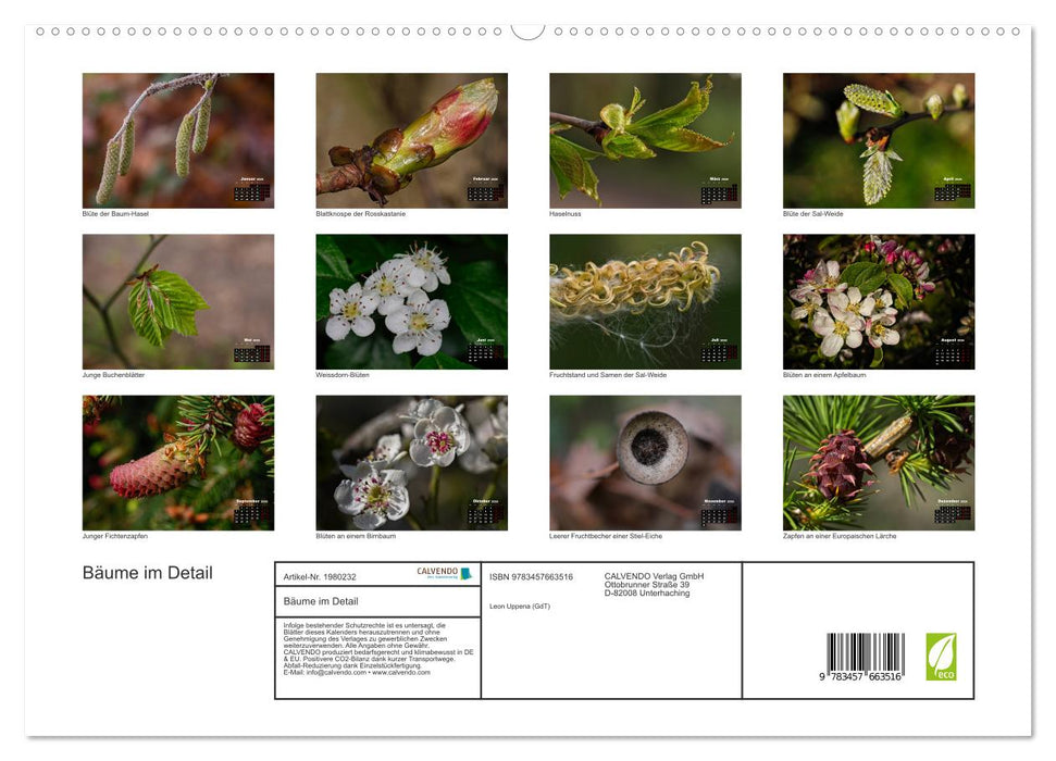 Bäume im Detail (CALVENDO Premium Wandkalender 2026)