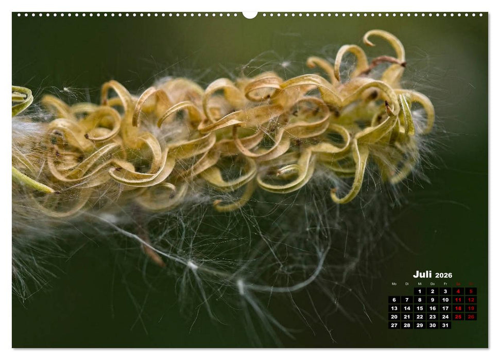 Bäume im Detail (CALVENDO Premium Wandkalender 2026)