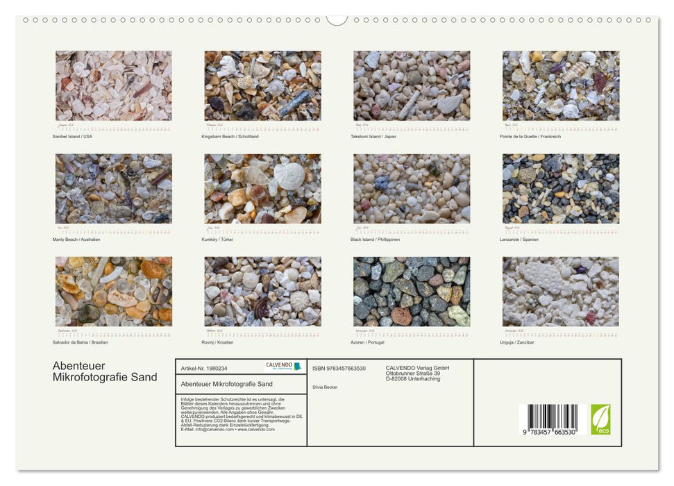 Abenteuer Mikrofotografie Sand (CALVENDO Premium Wandkalender 2026)