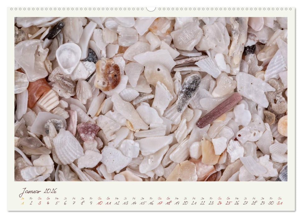 Abenteuer Mikrofotografie Sand (CALVENDO Premium Wandkalender 2026)