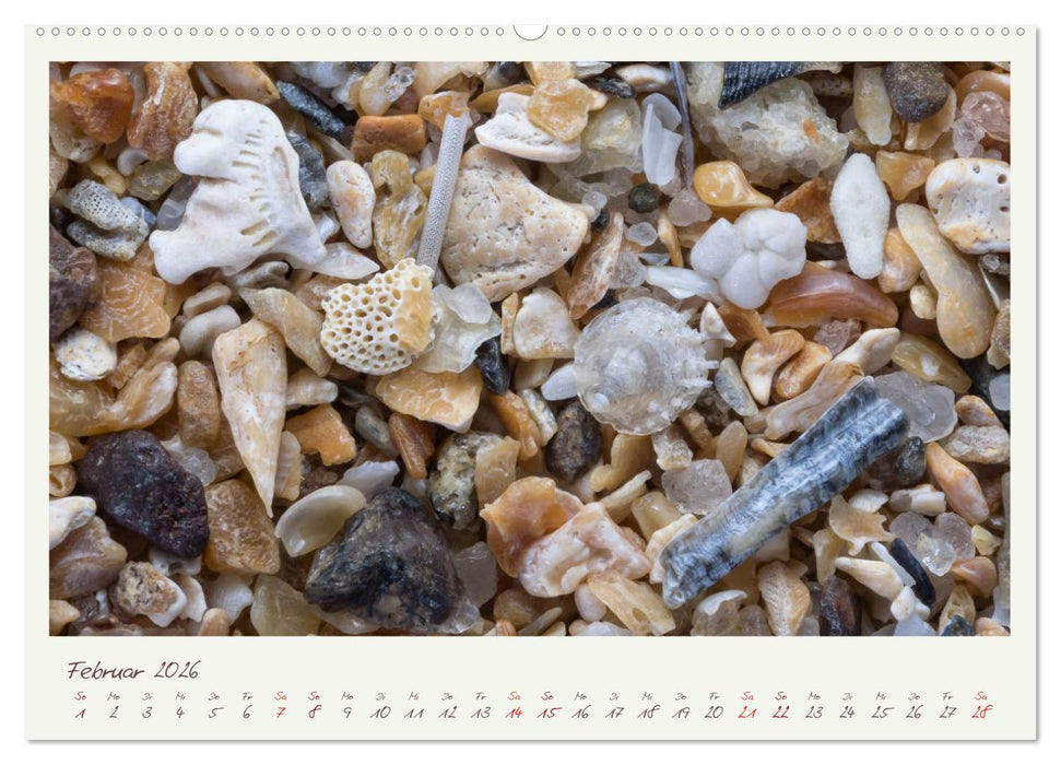 Abenteuer Mikrofotografie Sand (CALVENDO Premium Wandkalender 2026)
