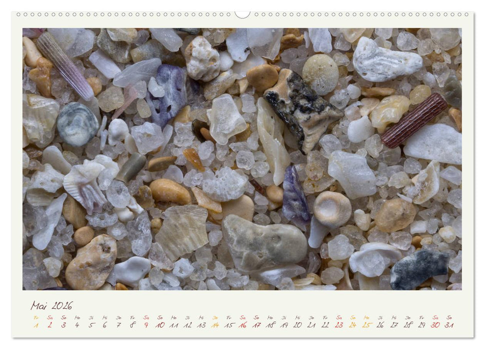 Abenteuer Mikrofotografie Sand (CALVENDO Premium Wandkalender 2026)