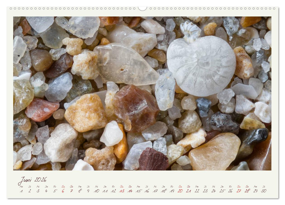 Abenteuer Mikrofotografie Sand (CALVENDO Premium Wandkalender 2026)