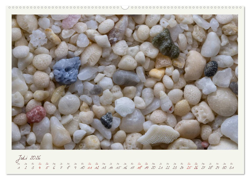 Abenteuer Mikrofotografie Sand (CALVENDO Premium Wandkalender 2026)