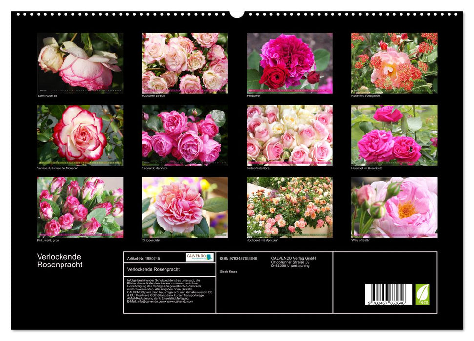 Verlockende Rosenpracht (CALVENDO Premium Wandkalender 2026)