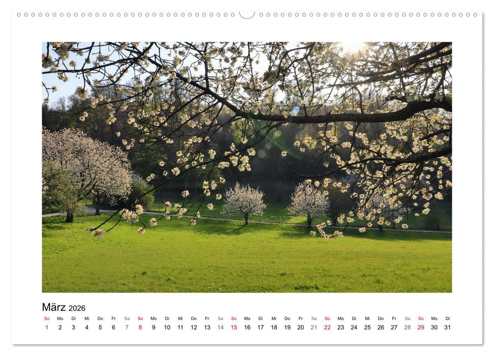 Kirschblüte rund um Witzenhausen (CALVENDO Premium Wandkalender 2026)