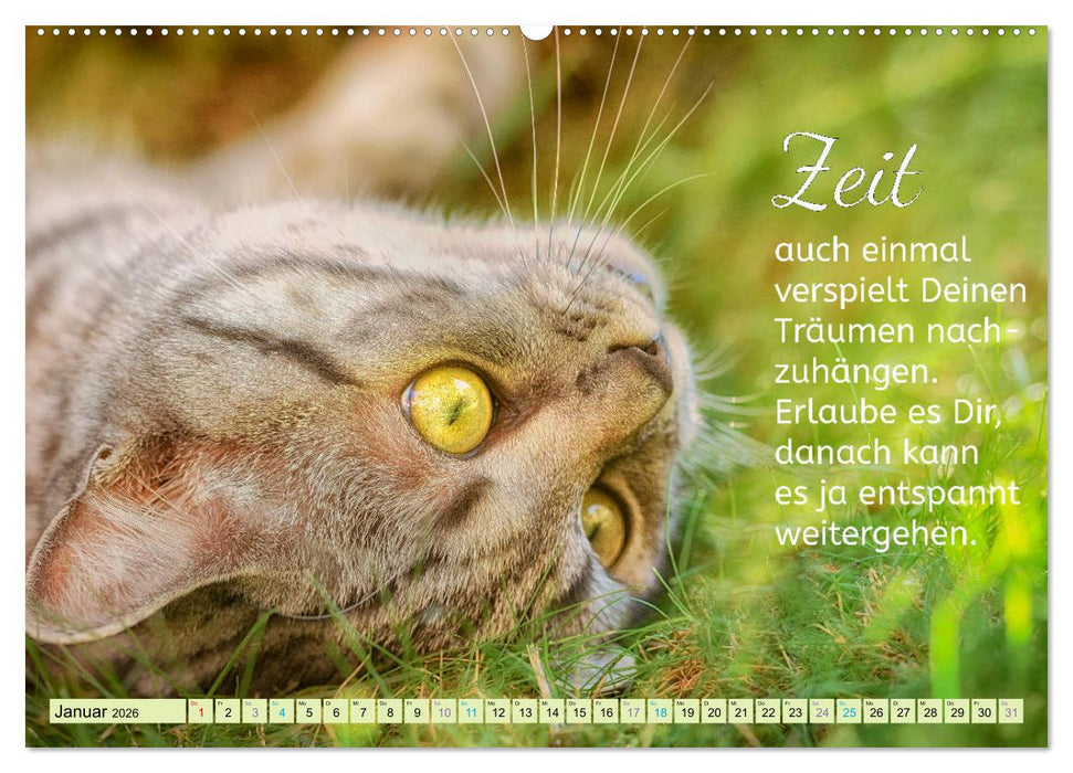 Der Spruchkalender - Inspirationen (CALVENDO Premium Wandkalender 2026)