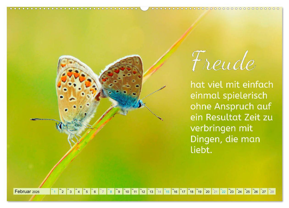 Der Spruchkalender - Inspirationen (CALVENDO Premium Wandkalender 2026)