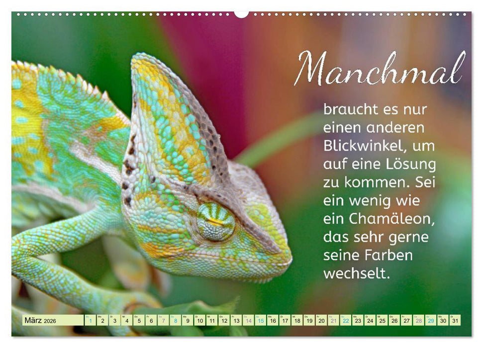 Der Spruchkalender - Inspirationen (CALVENDO Premium Wandkalender 2026)