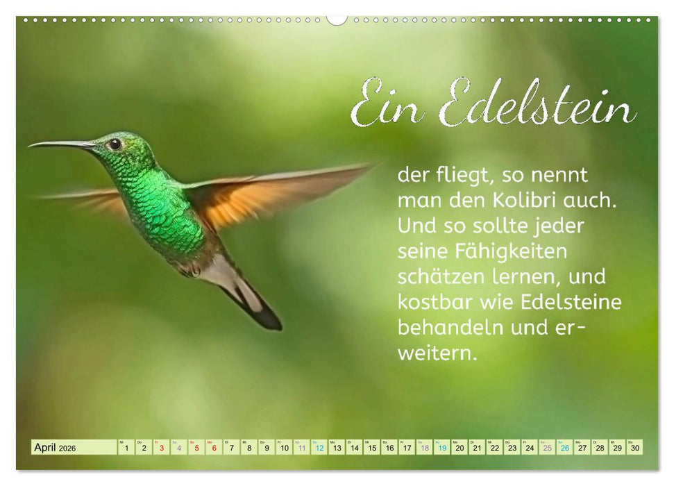 Der Spruchkalender - Inspirationen (CALVENDO Premium Wandkalender 2026)