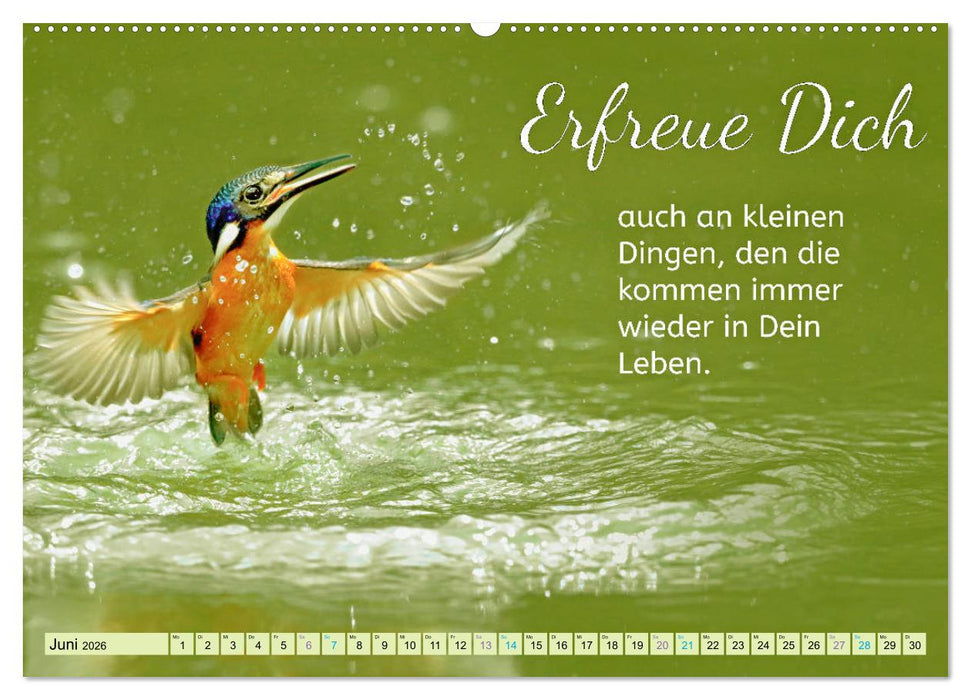 Der Spruchkalender - Inspirationen (CALVENDO Premium Wandkalender 2026)