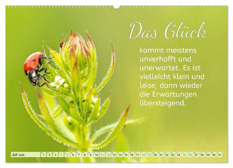 Der Spruchkalender - Inspirationen (CALVENDO Premium Wandkalender 2026)