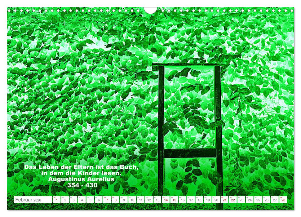 Leben! - Nachdenk-Kalender (CALVENDO Wandkalender 2026)