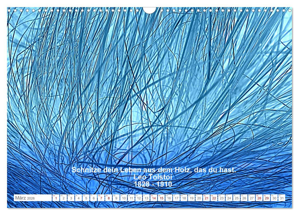 Leben! - Nachdenk-Kalender (CALVENDO Wandkalender 2026)