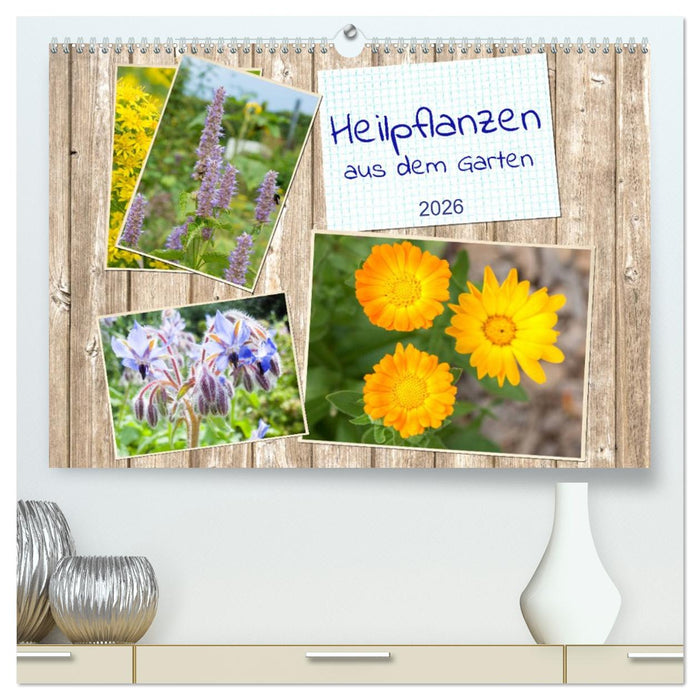 Heilpflanzen aus dem Garten (CALVENDO Premium Wandkalender 2026)