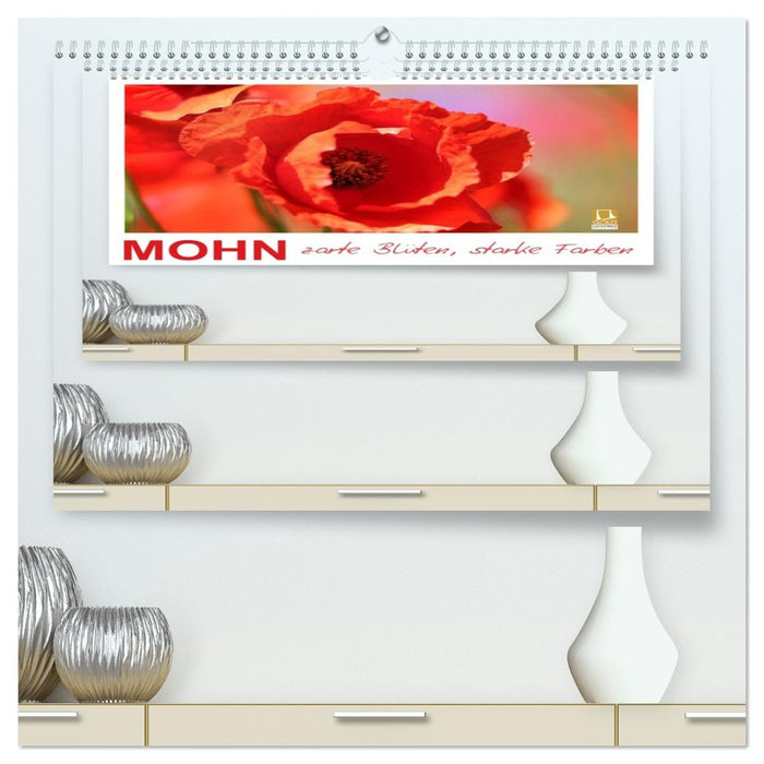 Mohn, zarte Blüten, starke Farben (CALVENDO Premium Wandkalender 2026)