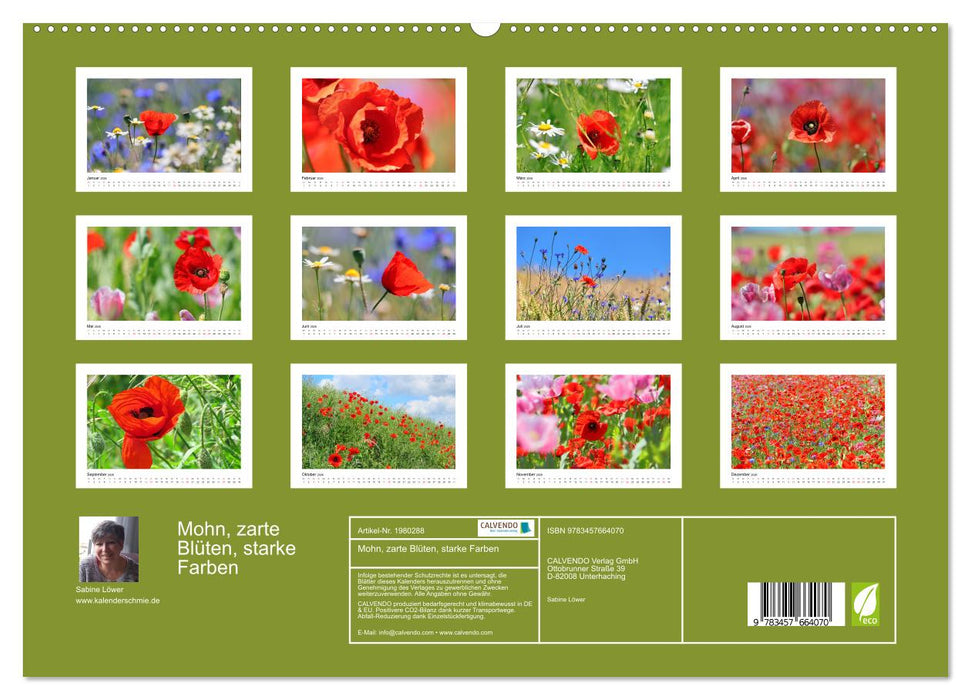 Mohn, zarte Blüten, starke Farben (CALVENDO Premium Wandkalender 2026)