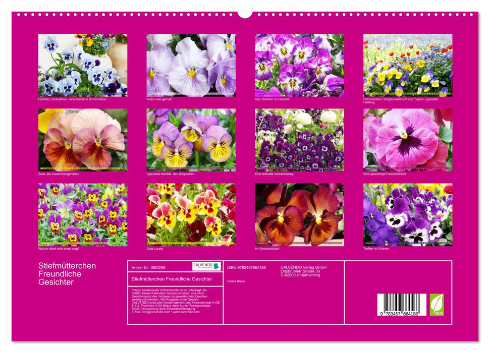 Stiefmütterchen Freundliche Gesichter (CALVENDO Premium Wandkalender 2026)
