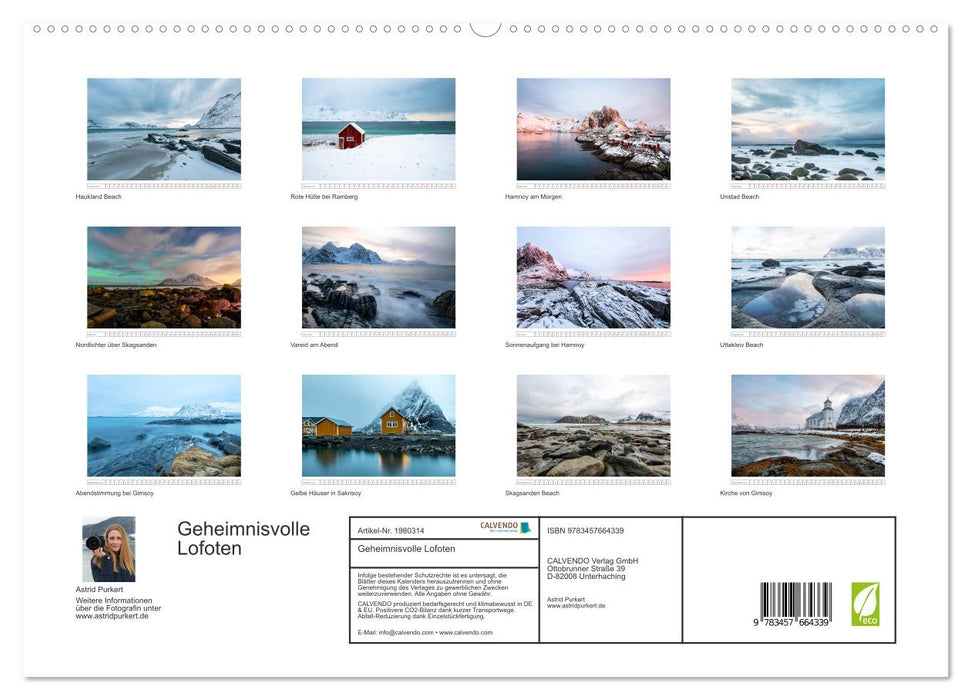 Geheimnisvolle Lofoten (CALVENDO Premium Wandkalender 2026)