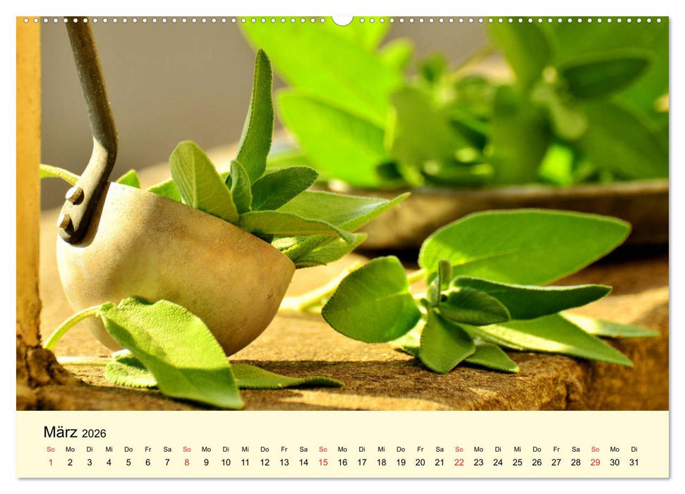 Geliebte Landküche. Anbauen, ernten und frohlocken! (CALVENDO Premium Wandkalender 2026)
