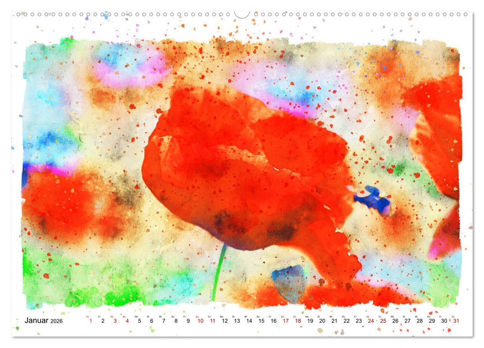 Mohnblüten in Aquarell (CALVENDO Premium Wandkalender 2026)