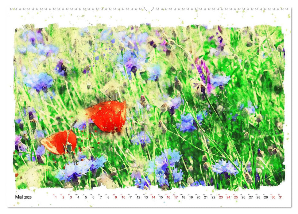 Mohnblüten in Aquarell (CALVENDO Premium Wandkalender 2026)