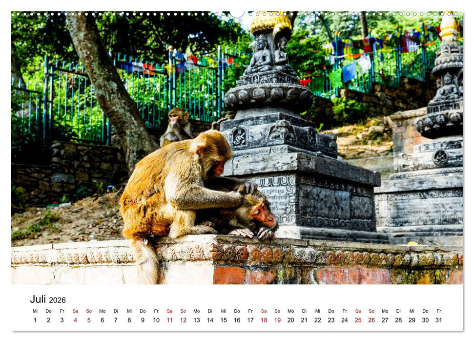 Impressionen aus Kathmandu (CALVENDO Premium Wandkalender 2026)