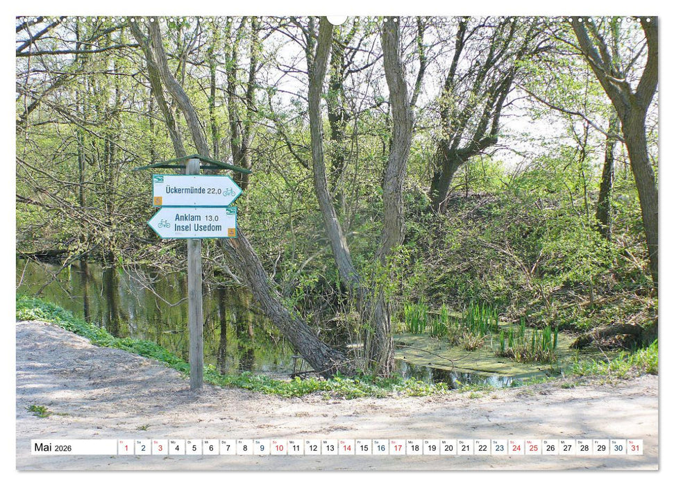 Die Karniner Bahn - Wiederaufbau vor dem Verkehrskollaps? (CALVENDO Premium Wandkalender 2026)