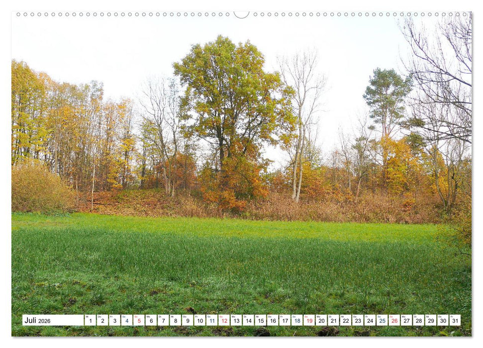 Die Karniner Bahn - Wiederaufbau vor dem Verkehrskollaps? (CALVENDO Premium Wandkalender 2026)