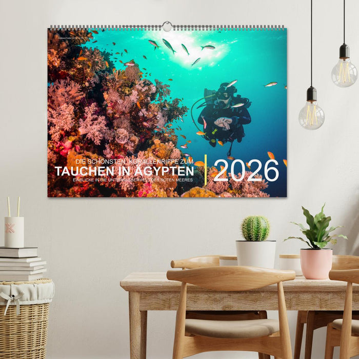 Die schönsten Korallenriffe zum Tauchen in Ägypten (CALVENDO Wandkalender 2026)