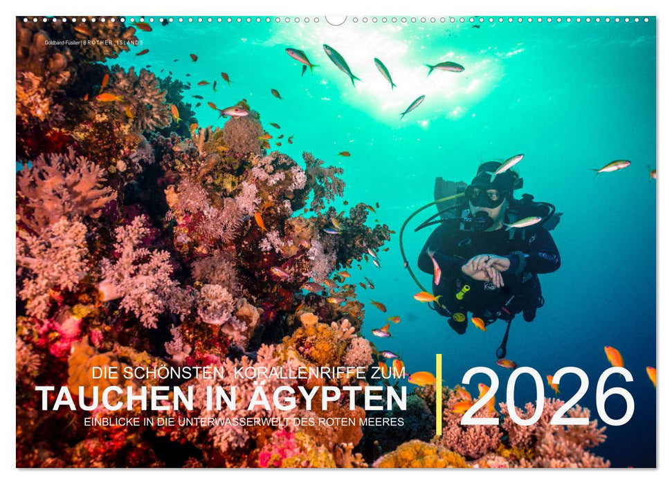 Die schönsten Korallenriffe zum Tauchen in Ägypten (CALVENDO Wandkalender 2026)