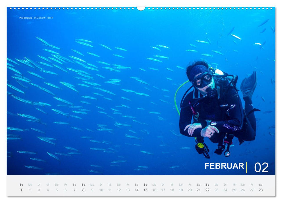 Die schönsten Korallenriffe zum Tauchen in Ägypten (CALVENDO Wandkalender 2026)