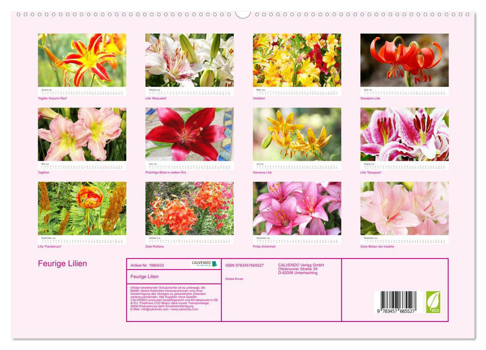 Feurige Lilien (CALVENDO Premium Wandkalender 2026)