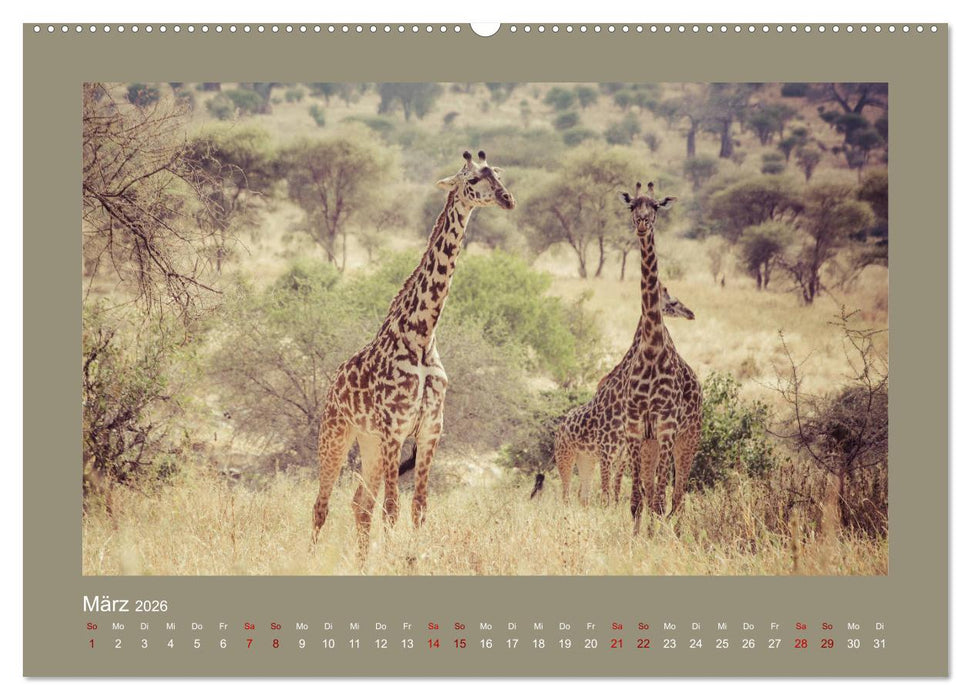 Tansania - Mensch, Tier und Landschaft (CALVENDO Premium Wandkalender 2026)