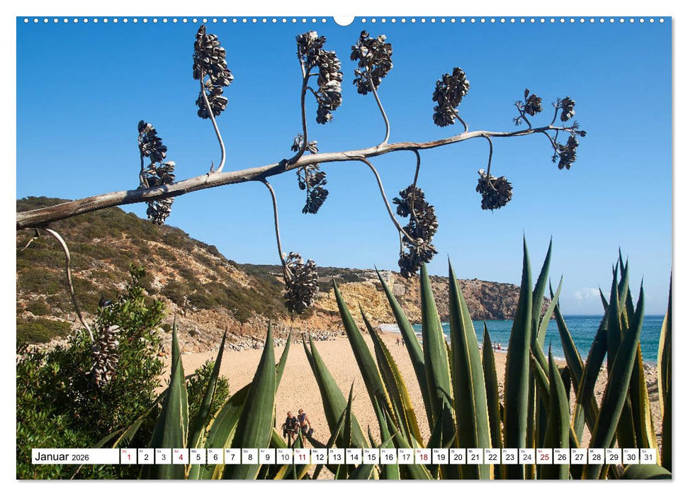 Algarve - Die schönste Küste Europas (CALVENDO Premium Wandkalender 2026)