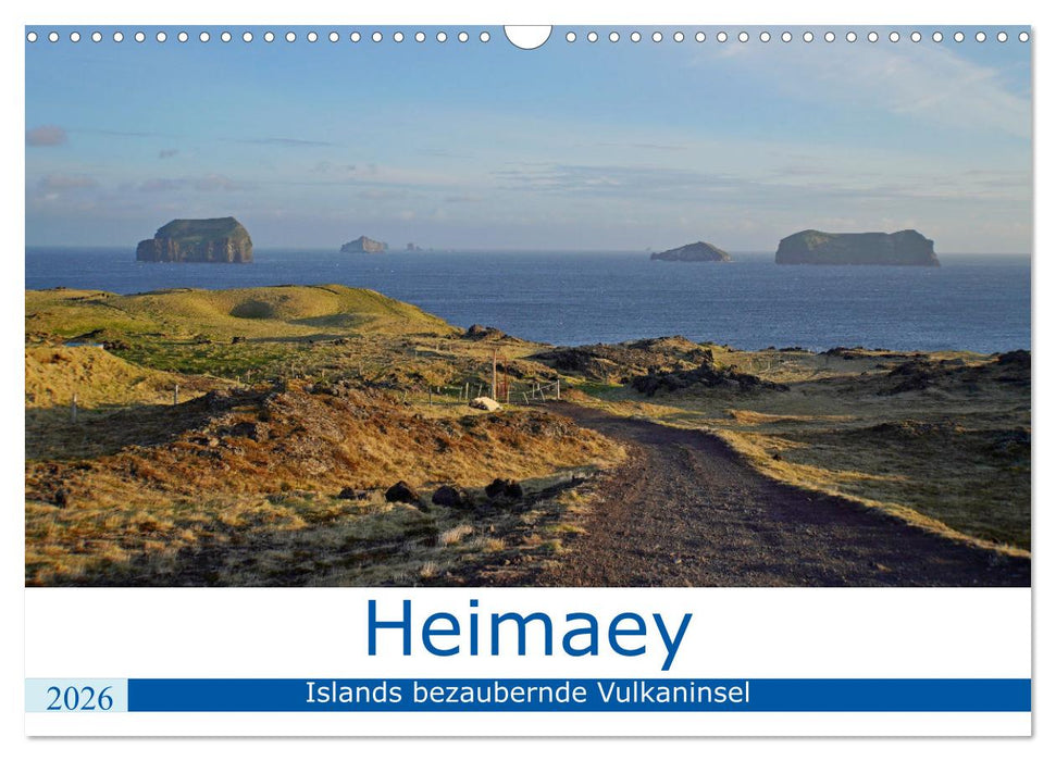Heimaey - Islands bezaubernde Vulkaninsel (CALVENDO Wandkalender 2026)
