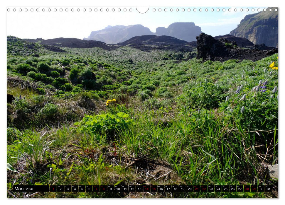 Heimaey - Islands bezaubernde Vulkaninsel (CALVENDO Wandkalender 2026)