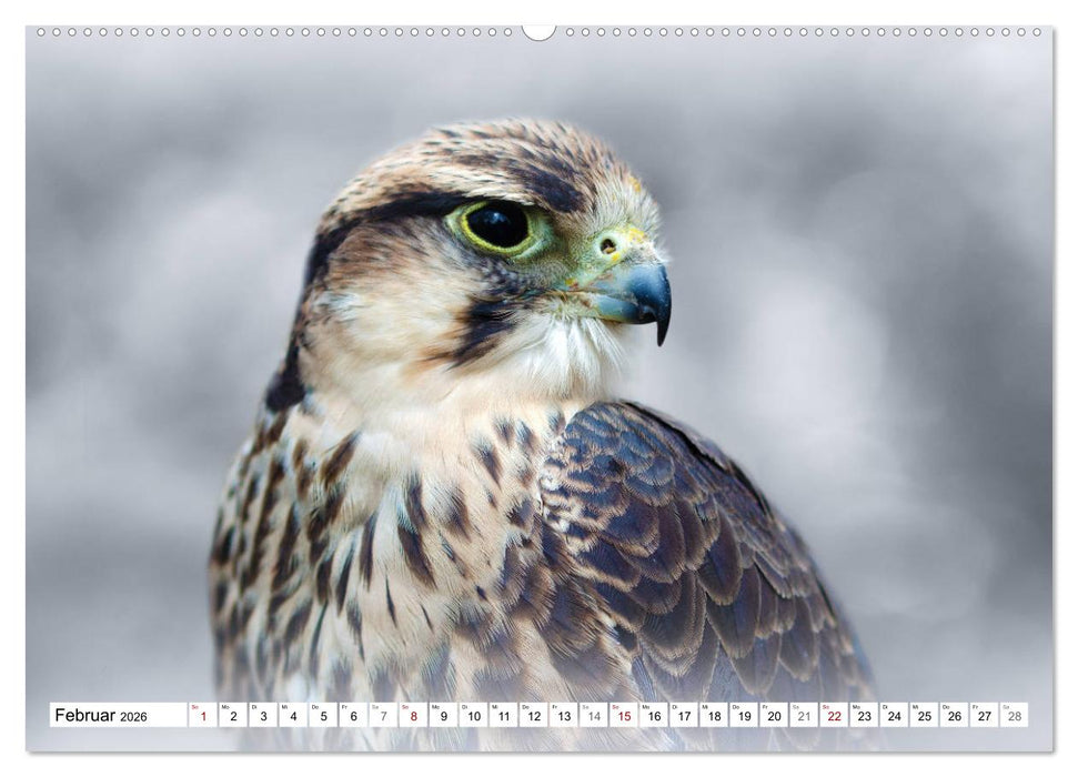 Erfolgreiche Jäger (CALVENDO Premium Wandkalender 2026)