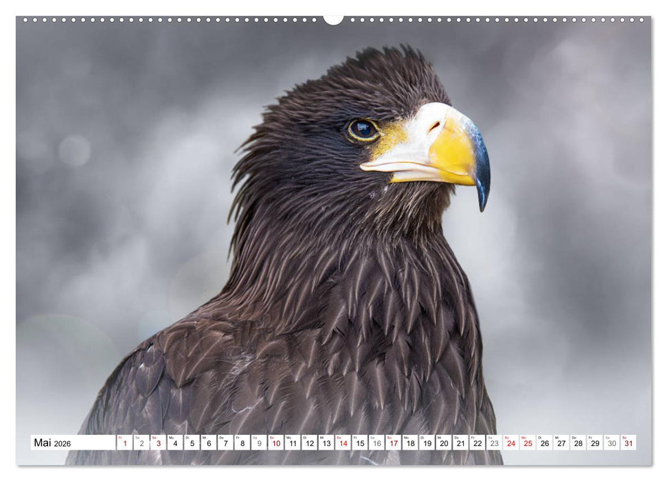 Erfolgreiche Jäger (CALVENDO Premium Wandkalender 2026)