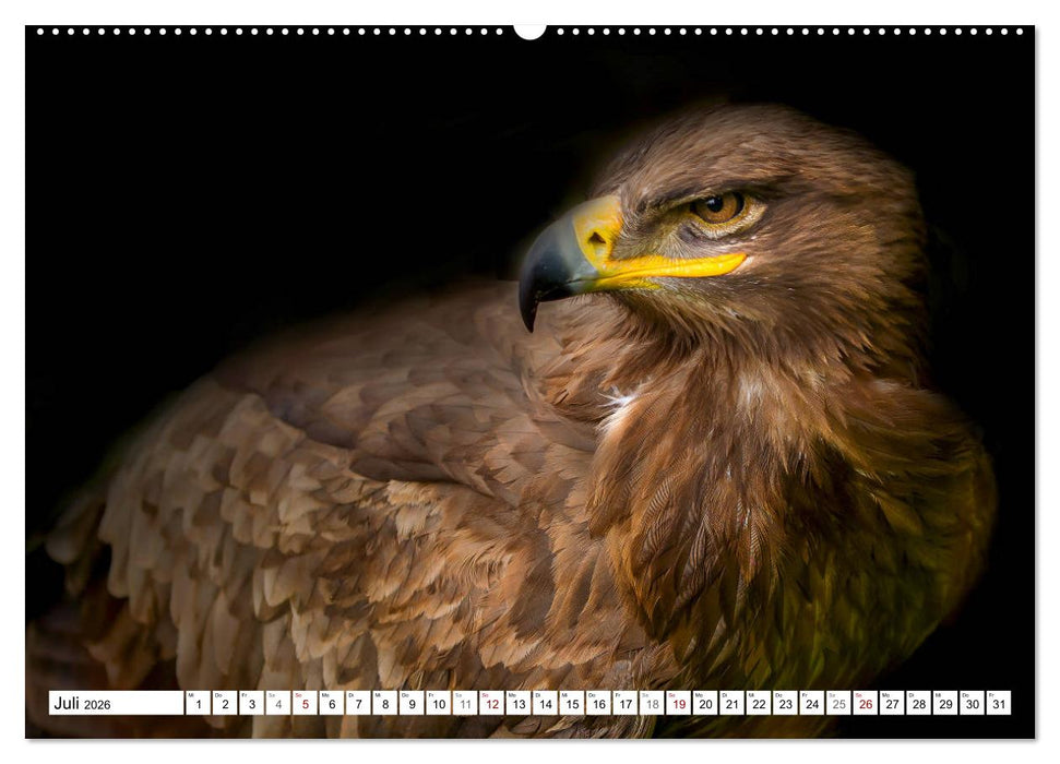 Erfolgreiche Jäger (CALVENDO Premium Wandkalender 2026)